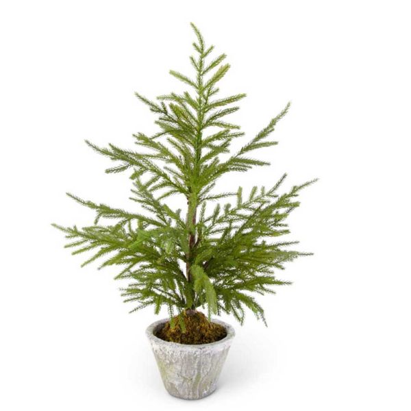 Great-Finds-Parker-Products-K&K Interiors-28-inch-norfolk-pine-tree-in-gray-pot