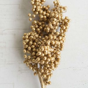 Great-Finds-Parker-Products-Kalalou-bundle-of-washed-gold-canella-berry-stems