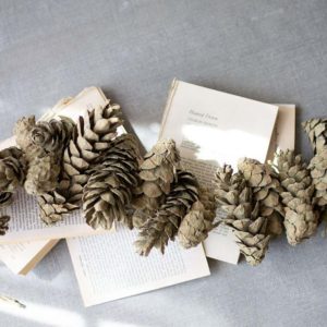 Great-Finds-Parker-Products-Kalalou-frosted-sage-pinecone-garland-00