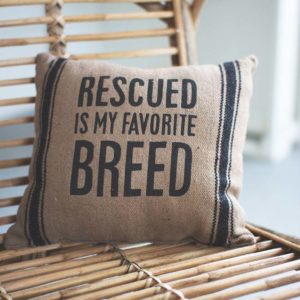 Great-Finds-Parker-Products-Kalalou-pillow-rescued