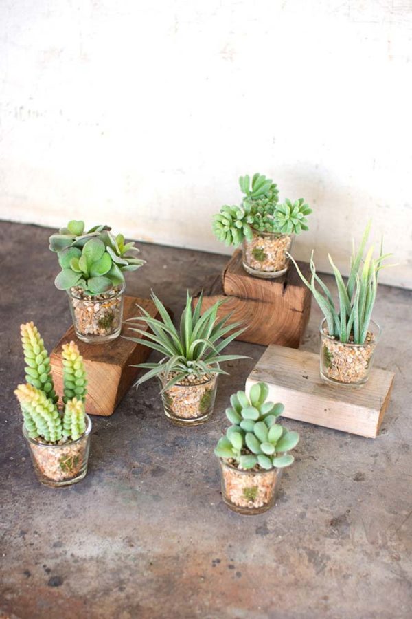 Great-Finds-Parker-Products-Kalalou-set-of-6-artificial-succulents-in-glass-containers